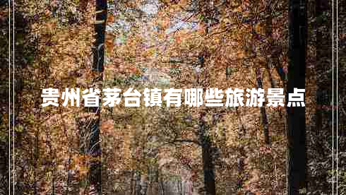 貴州省茅臺鎮(zhèn)有哪些旅游景點(diǎn)
