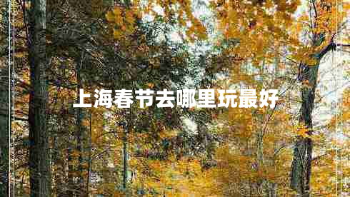 上海春節(jié)去哪里玩最好