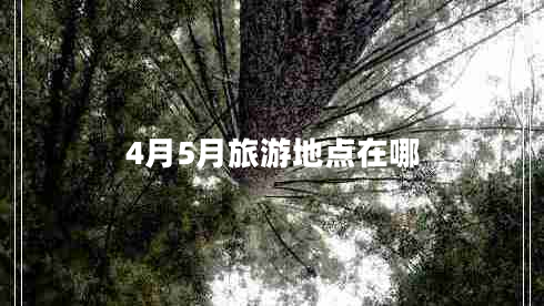 4月5月旅游地點在哪