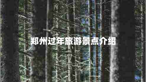 鄭州過年旅游景點介紹