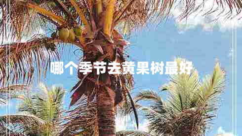 哪個季節(jié)去黃果樹最好
