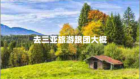 去三亞旅游跟團(tuán)大概