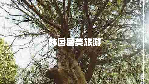韓國(guó)醫(yī)美旅游