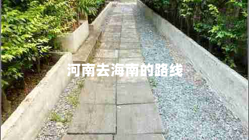 河南去海南的路線