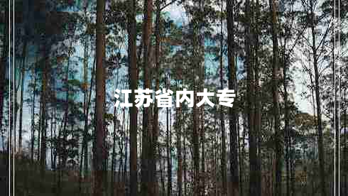 江蘇省內(nèi)大專
