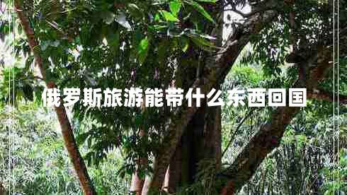俄羅斯旅游能帶什么東西回國