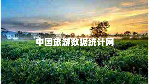 中國(guó)旅游數(shù)據(jù)統(tǒng)計(jì)網(wǎng)