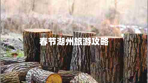春節(jié)湖州旅游攻略