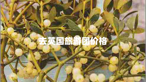 去英國(guó)旅游團(tuán)價(jià)格
