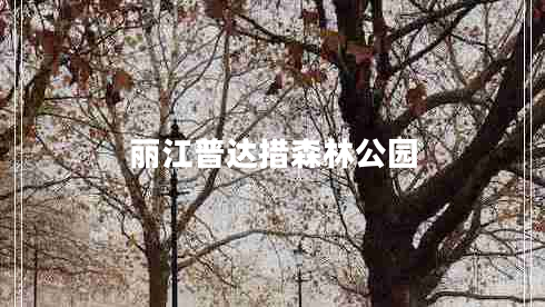 麗江普達(dá)措森林公園