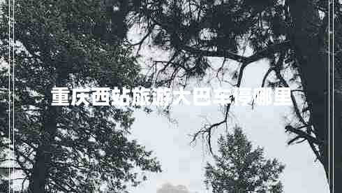 重慶西站旅游大巴車停哪里