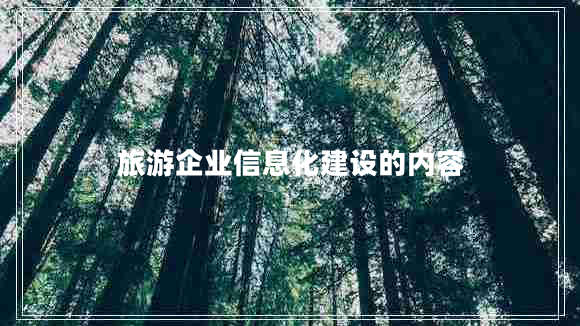 旅游企業(yè)信息化建設(shè)的內(nèi)容