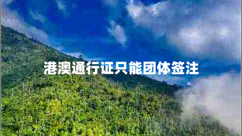 港澳通行證只能團(tuán)體簽注