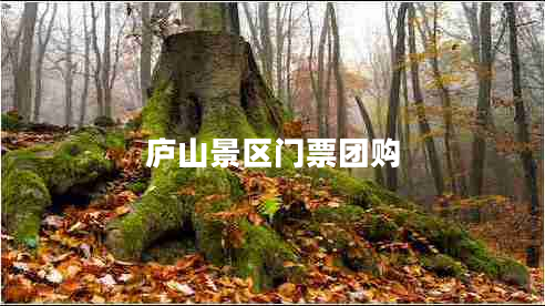 廬山景區(qū)門票團購