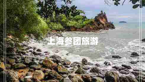 上海參團(tuán)旅游