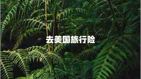 去美國(guó)旅行險(xiǎn)