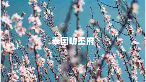 泰國(guó)叻丕府