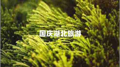 國(guó)慶湖北旅游