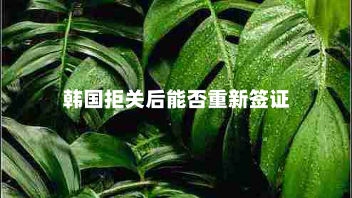 韓國(guó)拒關(guān)后能否重新簽證