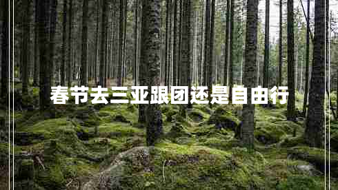 春節(jié)去三亞跟團(tuán)還是自由行