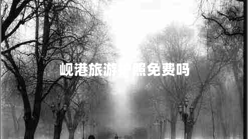 峴港旅游護(hù)照免費(fèi)嗎