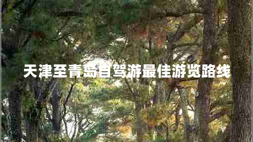 天津至青島自駕游最佳游覽路線