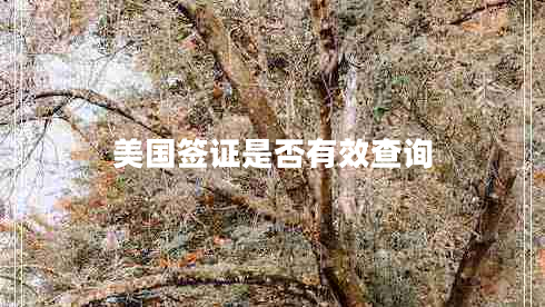 美國簽證是否有效查詢