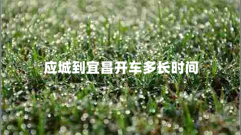 應(yīng)城到宜昌開車多長時(shí)間
