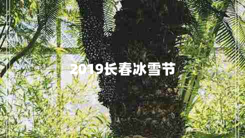 2019長(zhǎng)春冰雪節(jié)