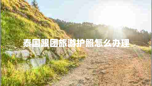泰國(guó)跟團(tuán)旅游護(hù)照怎么辦理