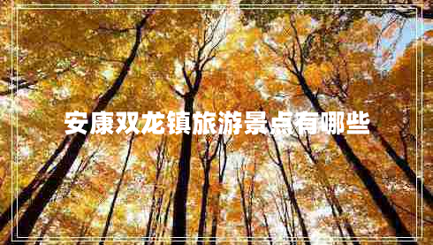 安康雙龍鎮(zhèn)旅游景點(diǎn)有哪些