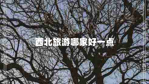 西北旅游哪家好一點