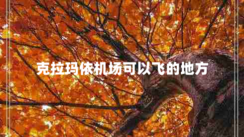 克拉瑪依機場可以飛的地方