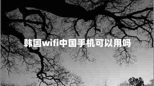韓國wifi中國手機(jī)可以用嗎