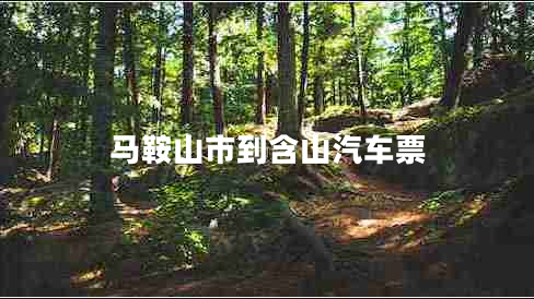 馬鞍山市到含山汽車票
