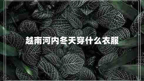越南河內(nèi)冬天穿什么衣服