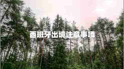 西班牙出境注意事項(xiàng)