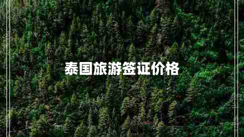 泰國旅游簽證價格