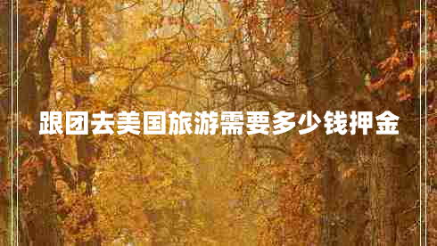 跟團(tuán)去美國旅游需要多少錢押金