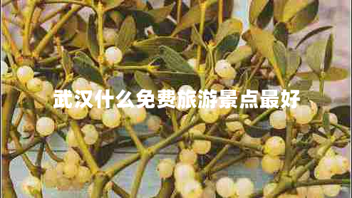 武漢什么免費(fèi)旅游景點(diǎn)最好