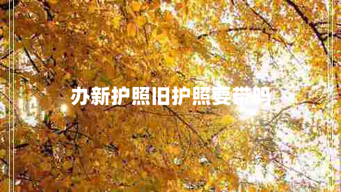 辦新護(hù)照舊護(hù)照要帶嗎