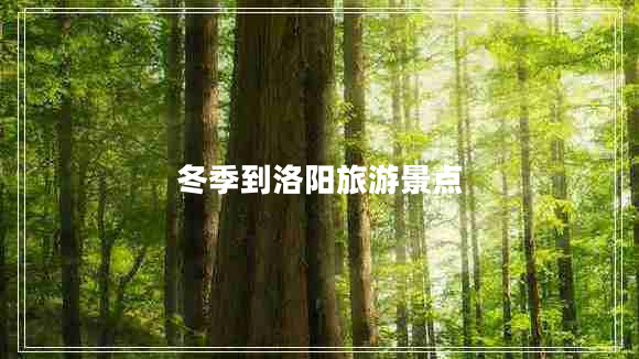 冬季到洛陽旅游景點(diǎn)