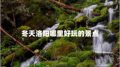 冬天洛陽哪里好玩的景點