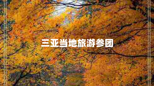 三亞當(dāng)?shù)芈糜螀F(tuán)