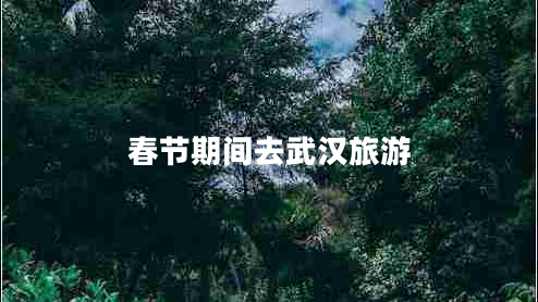 春節(jié)期間去武漢旅游
