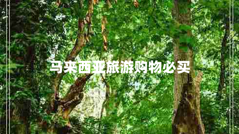 馬來(lái)西亞旅游購(gòu)物必買