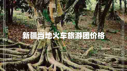 新疆當(dāng)?shù)鼗疖嚶糜螆F(tuán)價(jià)格