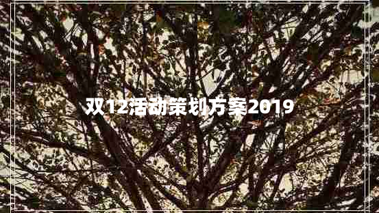 雙12活動策劃方案2019