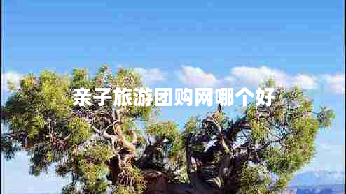 親子旅游團(tuán)購網(wǎng)哪個(gè)好