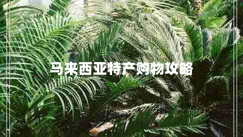 馬來西亞特產(chǎn)購物攻略